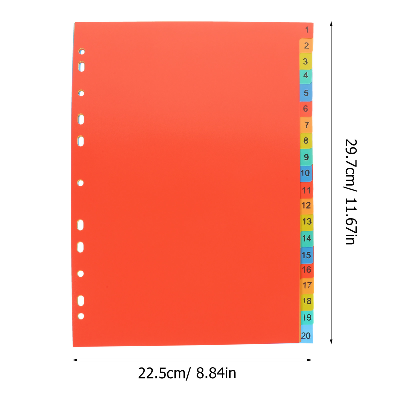 20 Sheets A4 Index Divider Pla - đánh giá và giá Tab Divider A4